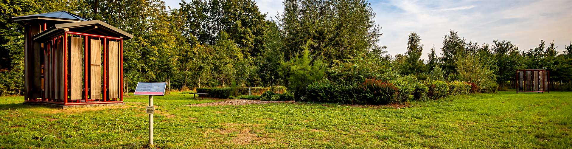 Stimmungsvolle Fotografie aus Diepholz und Umgebung