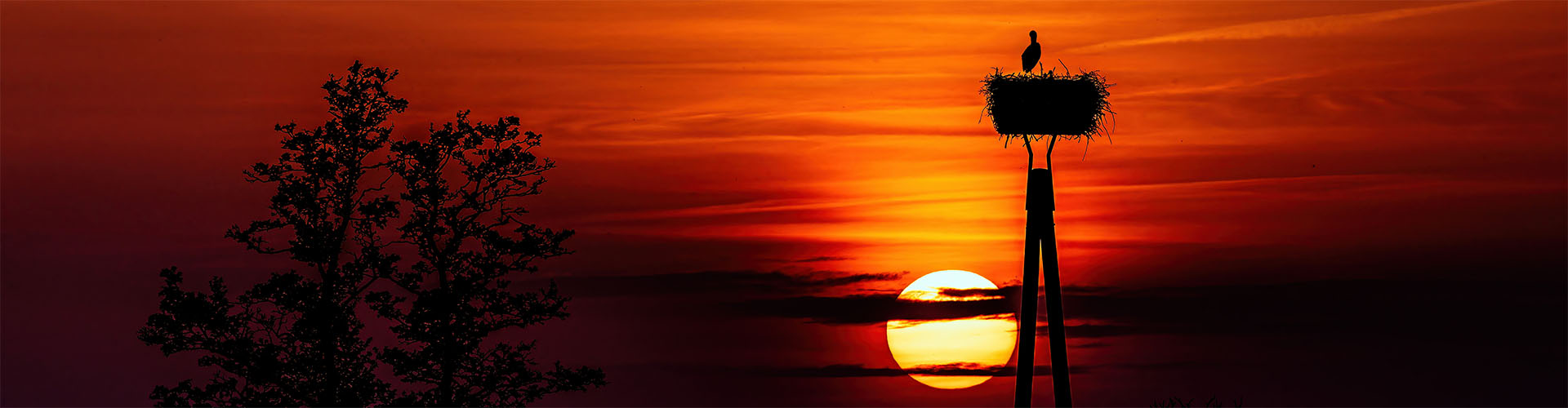 Stimmungsvolle Fotografie aus Diepholz und Umgebung