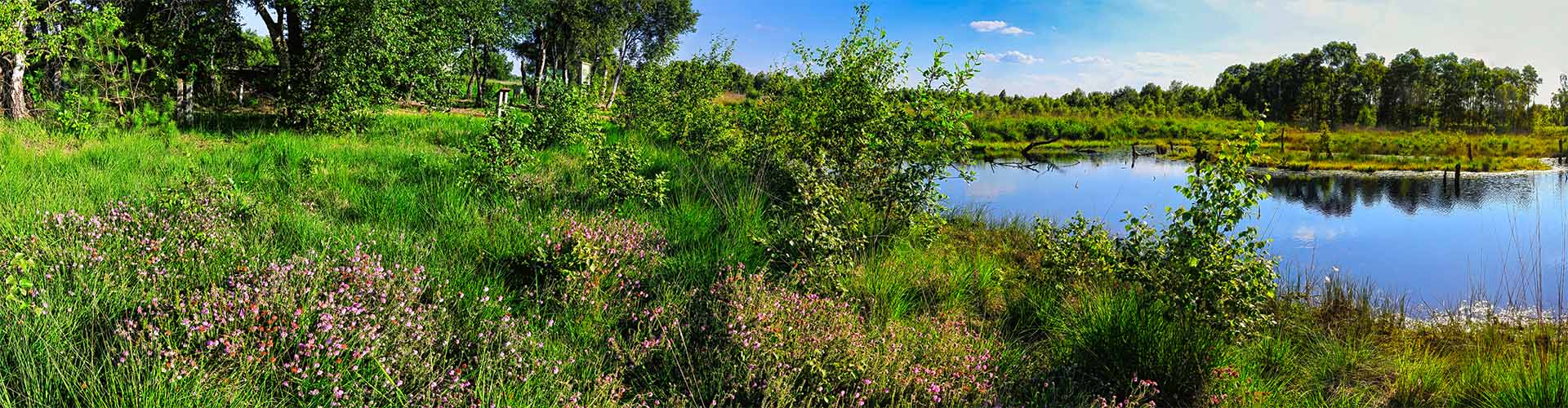 Stimmungsvolle Fotografie aus Diepholz und Umgebung