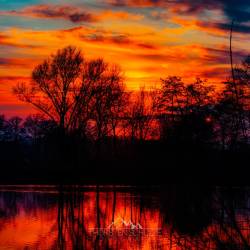 155 | Baggersee im Sonnenuntergang