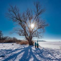 183 | Skulturenpfad See-Sicht im Winter