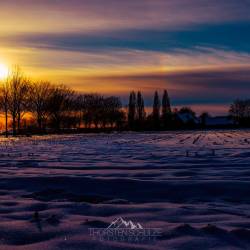 191 | Sonnenuntergang über einem stoppeligen Maisfeld am Baggersee