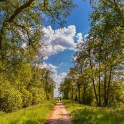 262 | Radweg um den Dümmer See