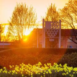 345 | Sonnenuntergang Kreisel Steinfelderstraße