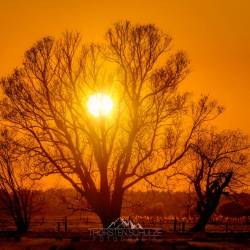 353 | Sonnenuntergang in den Huntebruchwiesen