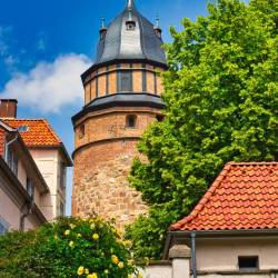 744 | Schlossturm mit Rosen im Vordergrund