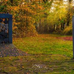 772 | Jüdischer Friedhof