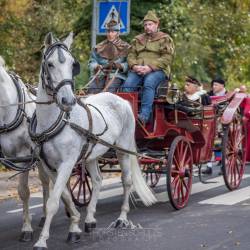 791 | Ausmarsch vom Schloss zur Innenstadt