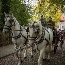 856 | Ausmarsch vom Schloss zur Innenstadt