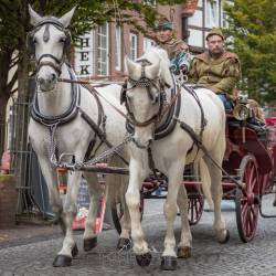 861 | Kutschenfahrt durch die Innenstadt