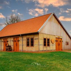 1290 | Anna & Heinz von Döllen Halle