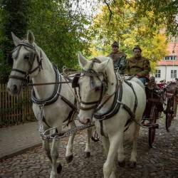 #856 · Ausmarsch vom Schloss zur Innenstadt