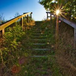 #1036 · Aussichtsplattform