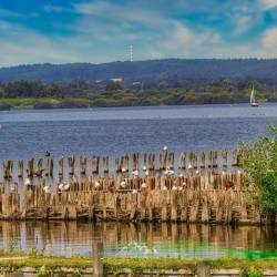 #1694 · Dümmer See 2020