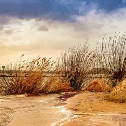 #1692 · Dümmer See 2020