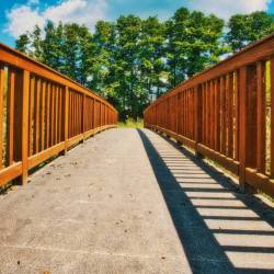 #1700 · Dümmer See 2020