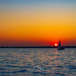 #1709 · Dümmer See 2021