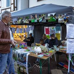 #1571 · Grafensonntag 2025