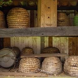 #1316 · Heimatmuseum Aschen 2021