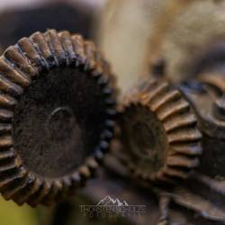 #1306 · Heimatmuseum Aschen 2021