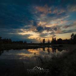 #1072 · Diepholzer Moor 2020