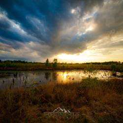 #1065 · Diepholzer Moor 2020