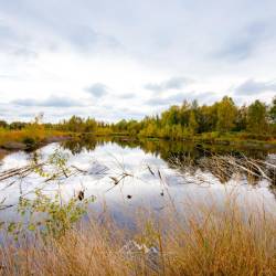 #1053 · Diepholzer Moor 2020