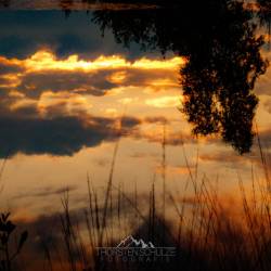 #1061 · Diepholzer Moor 2020