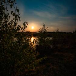 #1074 · Diepholzer Moor 2020