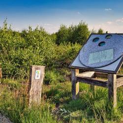 #1043 · Diepholzer Moor 2020