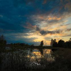 #1071 · Diepholzer Moor 2020