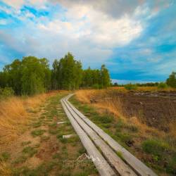 #1070 · Diepholzer Moor 2020