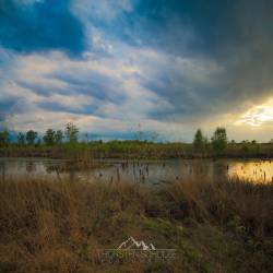 #1067 · Diepholzer Moor 2020