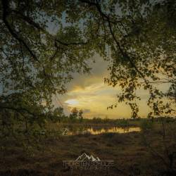 #1068 · Diepholzer Moor 2020