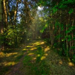 #1045 · Diepholzer Moor 2020