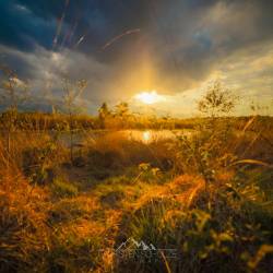 #1066 · Diepholzer Moor 2020