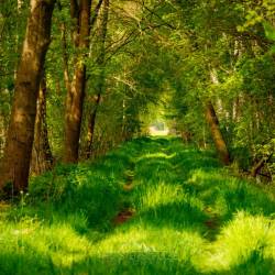 #1063 · Diepholzer Moor 2020