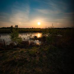 #1073 · Diepholzer Moor 2020