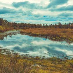 #1048 · Diepholzer Moor 2020