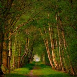 #1078 · Diepholzer Moor 2020