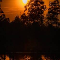 #1075 · Diepholzer Moor 2020