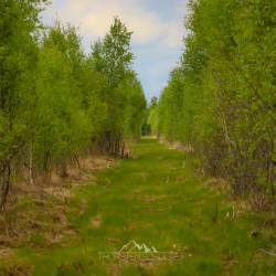 #1064 · Diepholzer Moor 2020