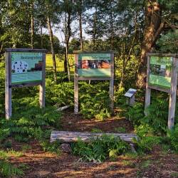 #1042 · Diepholzer Moor 2020