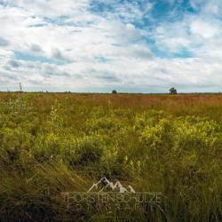 #1081 · Diepholzer Moor 2021