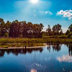 #1088 · Diepholzer Moor 2022