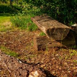 #1082 · Diepholzer Moor 2022