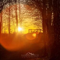 #1093 · Diepholzer Moor 2022