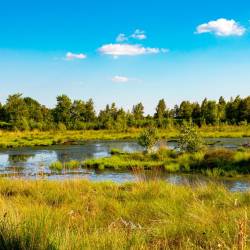 #1085 · Diepholzer Moor 2022