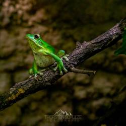 #548 · Tierpark Berlin 2021