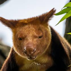 #546 · Tierpark Berlin 2021